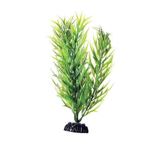 Green Bamboo - 8" Aquarium Plant