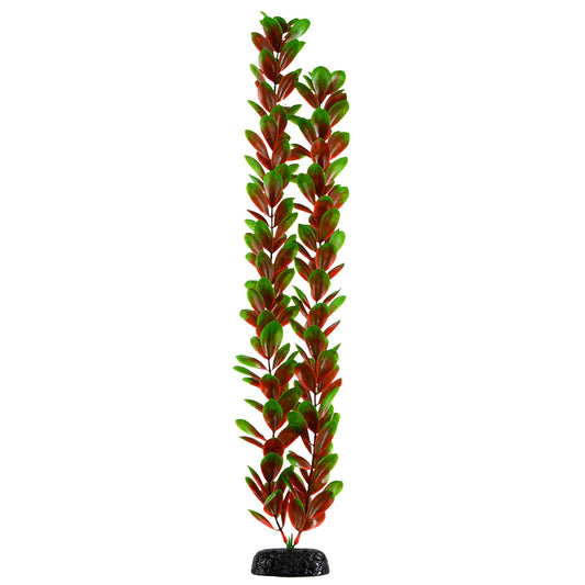 Red/Green Bacopa - 24" Aquarium Plant