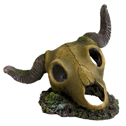 Ram Skull Aquarium Ornament