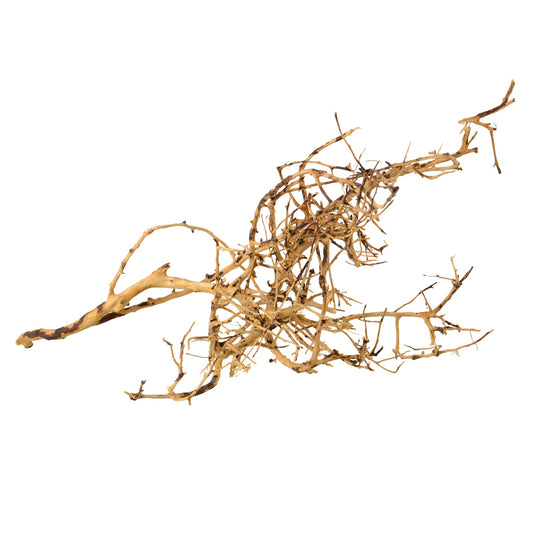 Bird Nest Wood