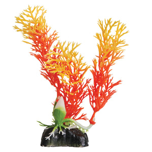 Orange Ambulia - 5" Decorative Aquarium Plant
