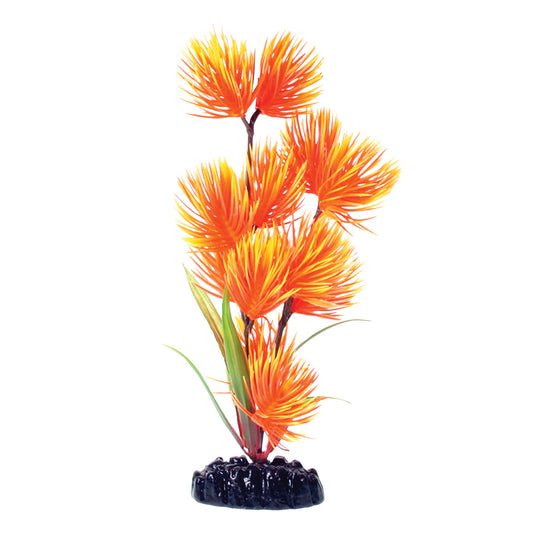 Orange/Yellow Conifer - 8" Aquarium Plant