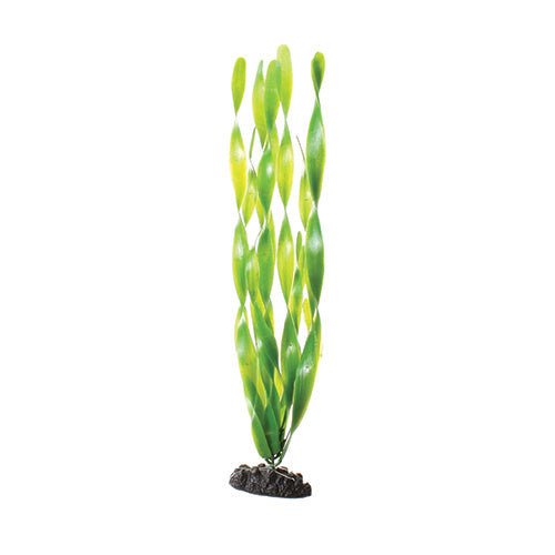 Green Jungle Vallisneria - 16" Aquarium Plant