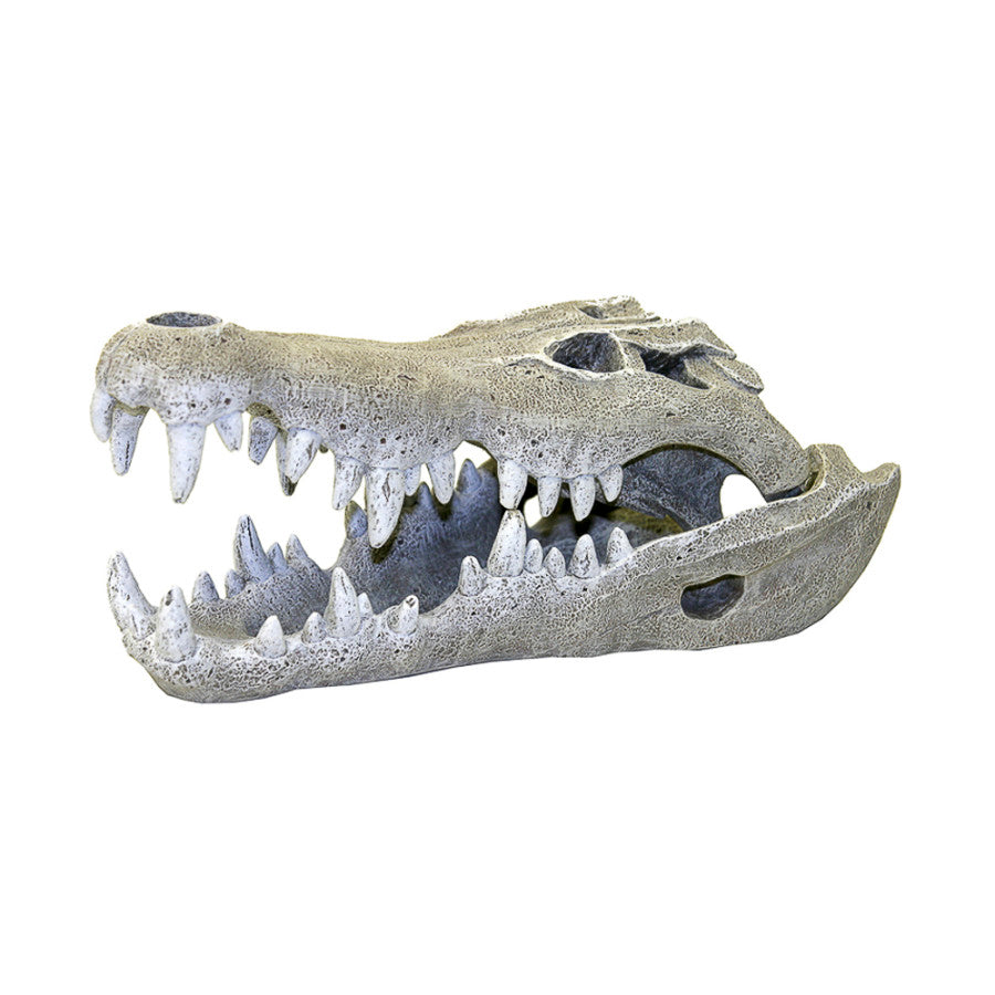 Nile Crocodile Skull Aquarium Ornament