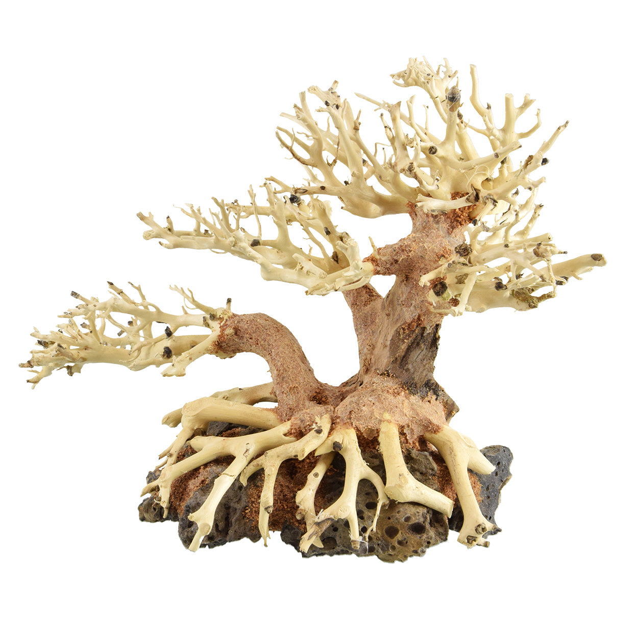 Bonsai Wood With Rock - Small