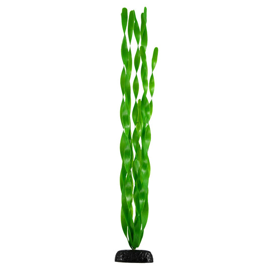 Green Jungle Vallisneria - 24" Aquarium Plant