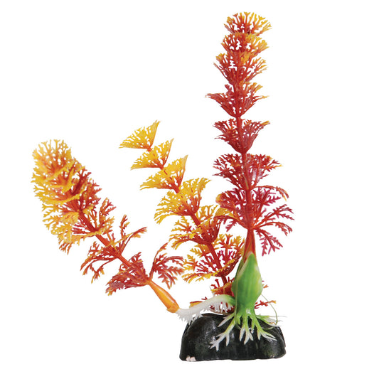 Cabomba - Red - 5" Decorative Aquarium Plant