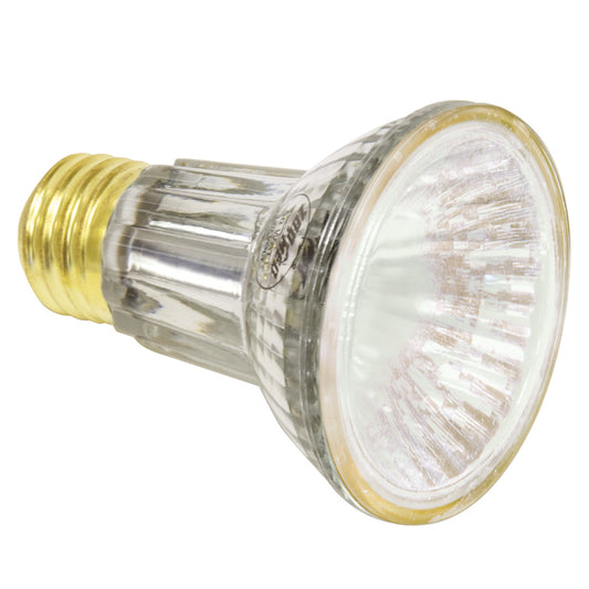 Repti Tuff Splashproof Halogen Lamp - 50 W