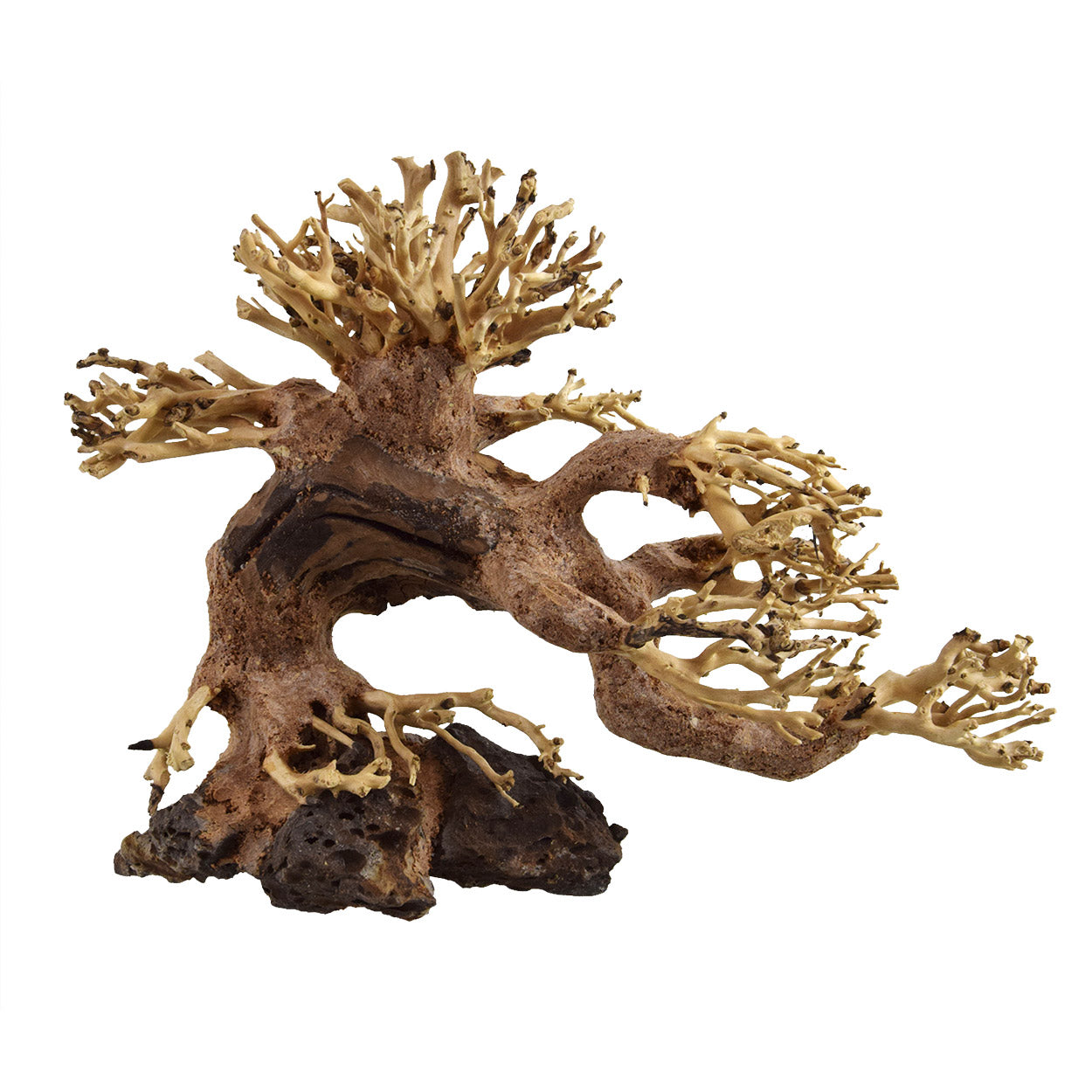 Bonsai Wood - Small