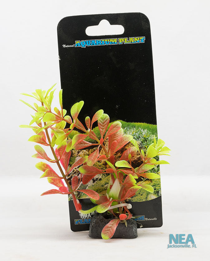 Decorative Aquarium Plant