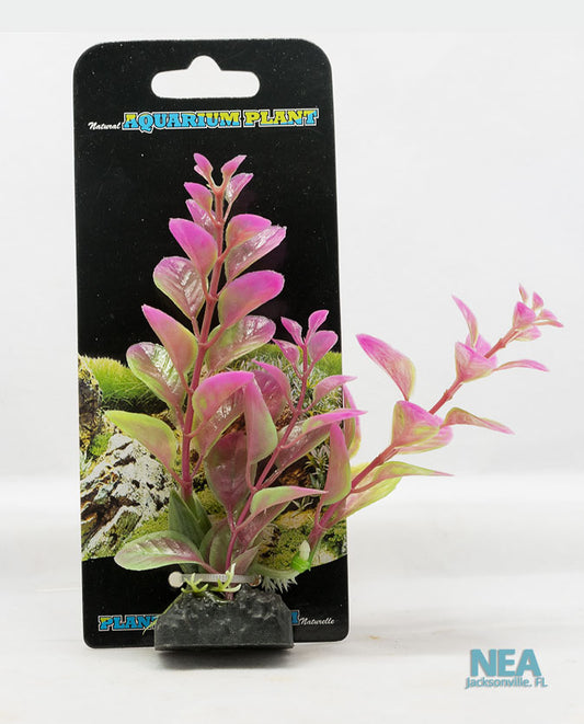 Decorative Aquarium Plant