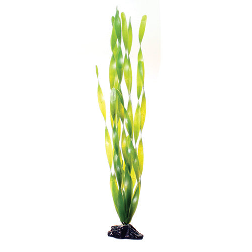 Green Jungle Val - 20" Aquarium Plant