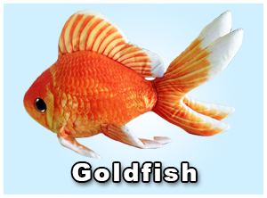 Goldfish Plush