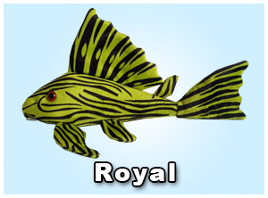 Royal Pleco Plushie