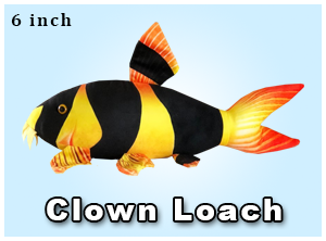 Clown Loach Plush
