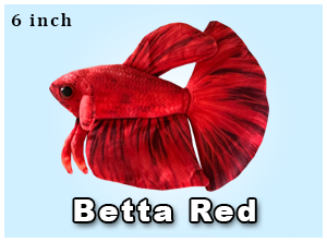 Red Betta Fish Plush