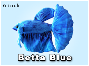 Blue Betta Plushie