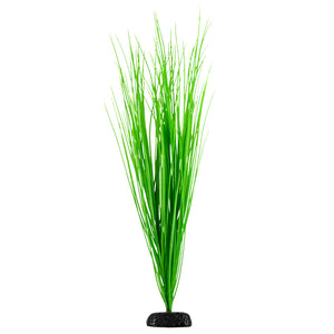 Green Hairgrass - 24"