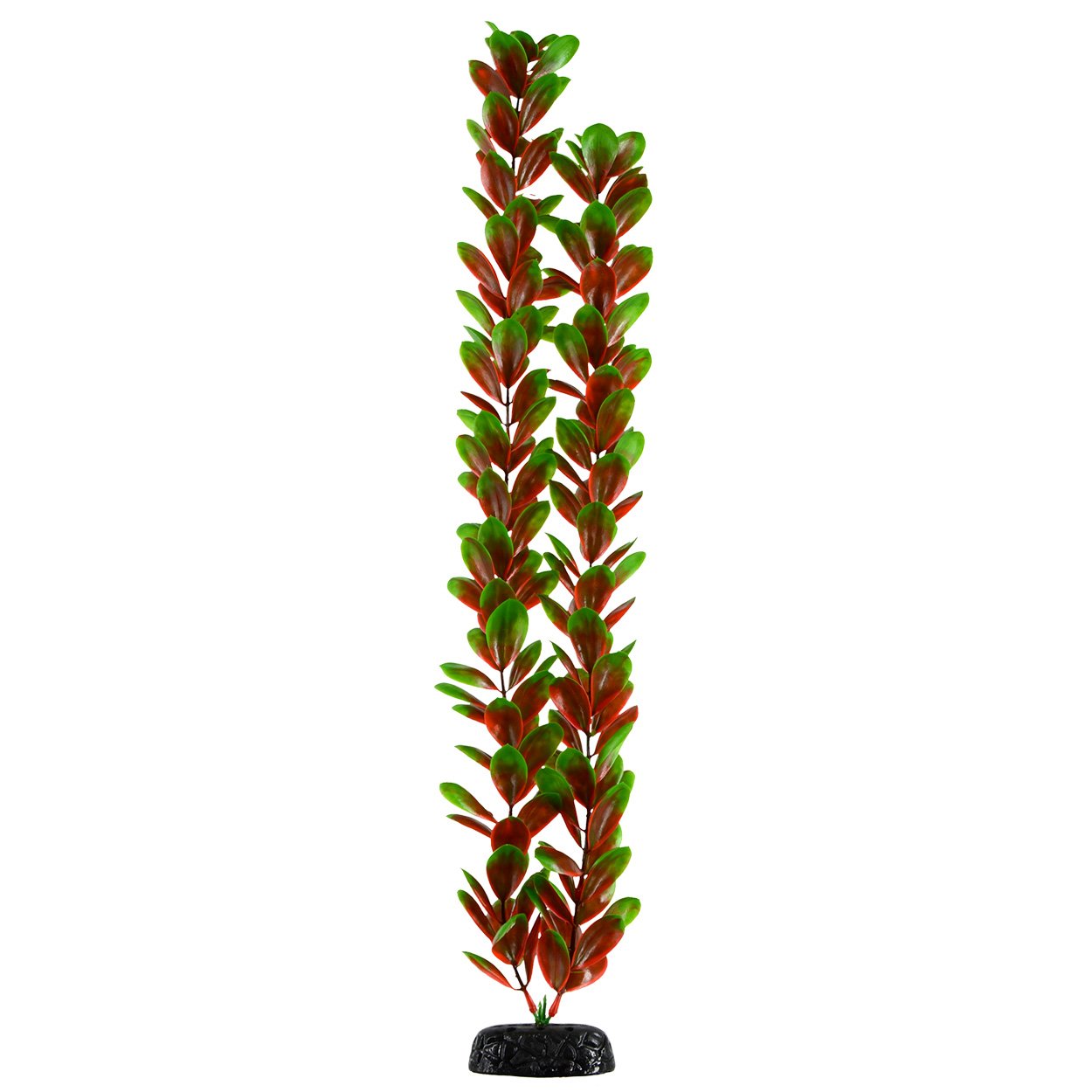 Red/Green Bacopa - 20" Aquarium Plant