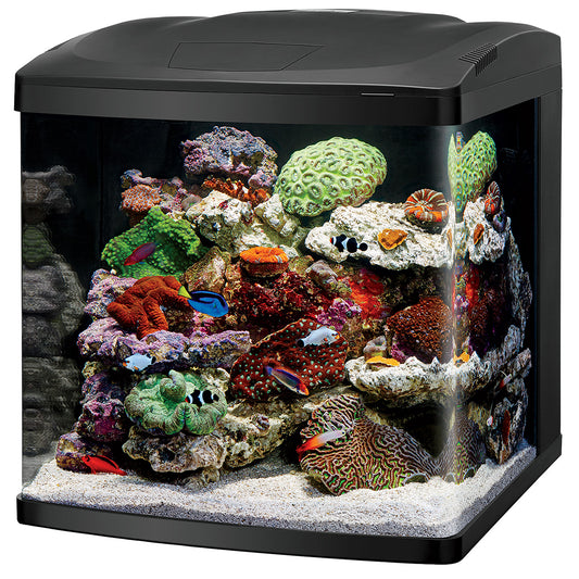 Biocube LED 32 Gallon